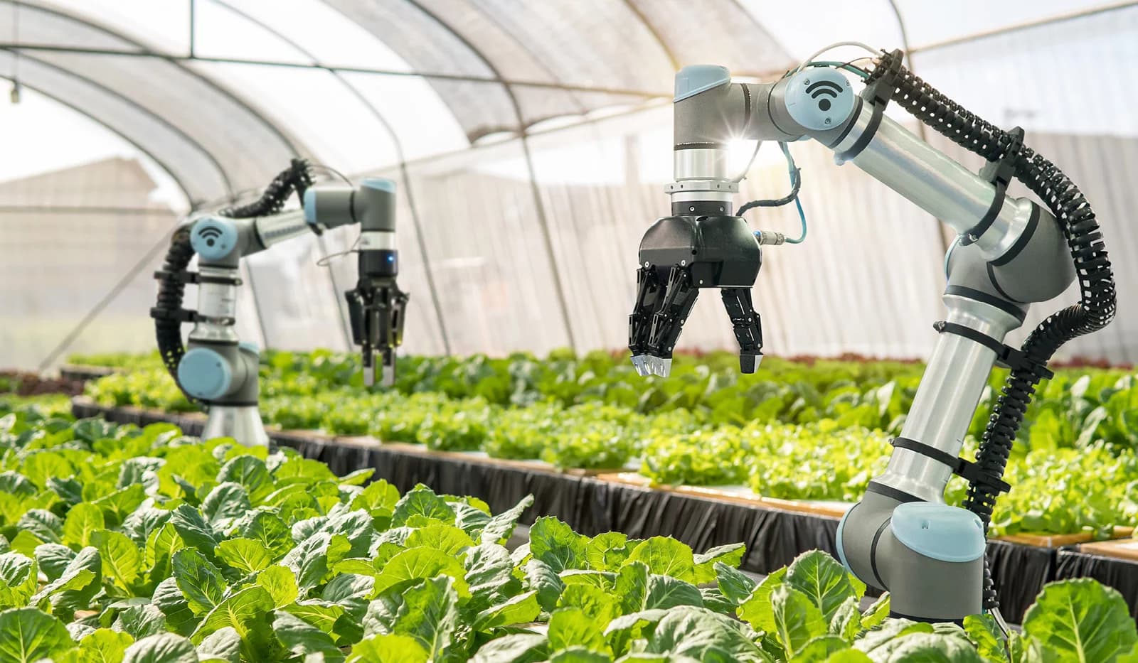 Smart Agriculture Forum